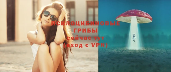 соль ск Богданович