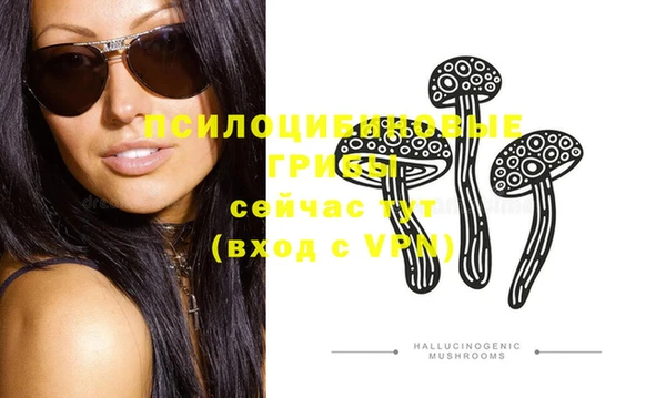 соль ск Богданович