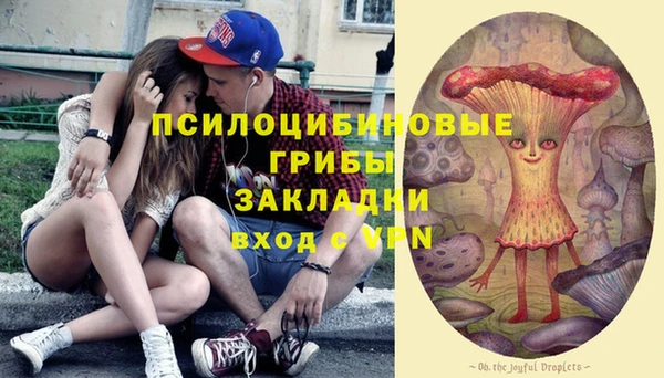 не бодяженный Богородицк