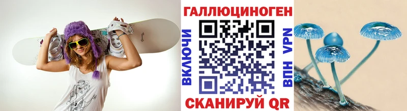 Псилоцибиновые грибы Psilocybine cubensis  Купить закладки  Печора 